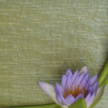 NEW ROMANCE Bamboo Pleat_preview