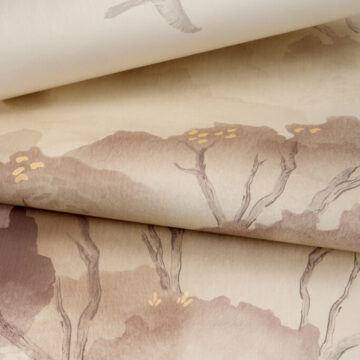 Innovations_FA25_Denali_DNL-01_Cumulus-2