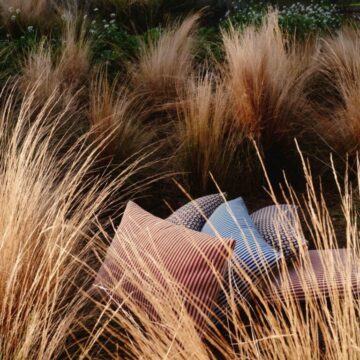 ETA_2026_LowRes_12 ETA_2026_LowRes_12